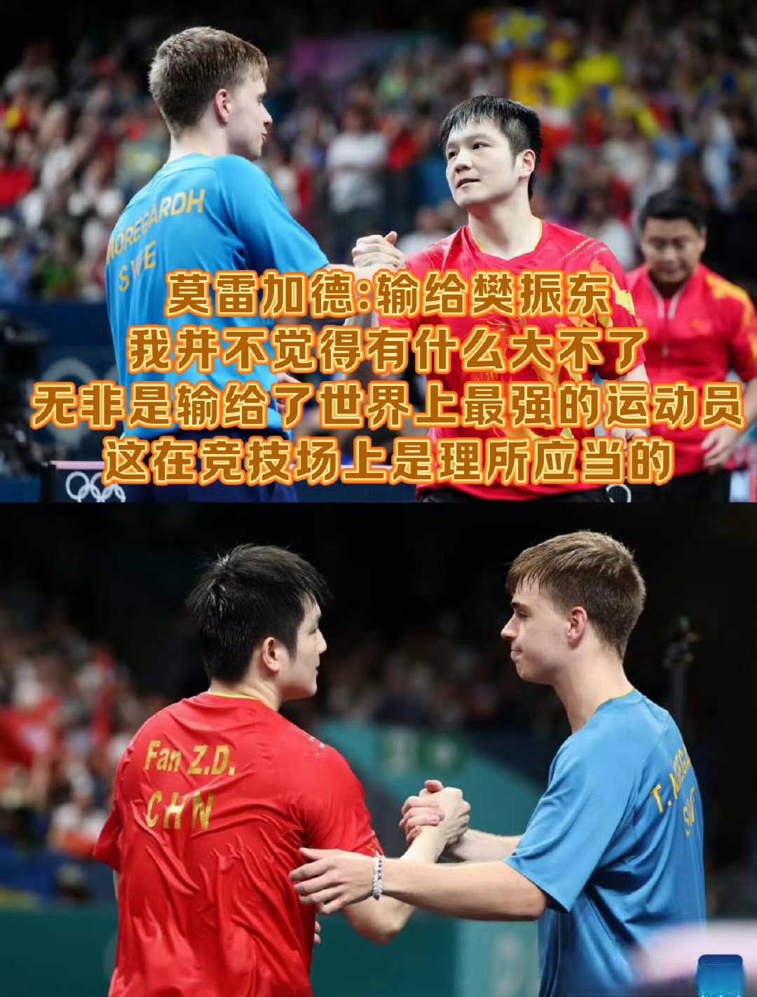 包含英格兰队碾压法国队,樊振东状态火热的词条 包含英格兰队碾压法国队,樊振东状态火热的词条