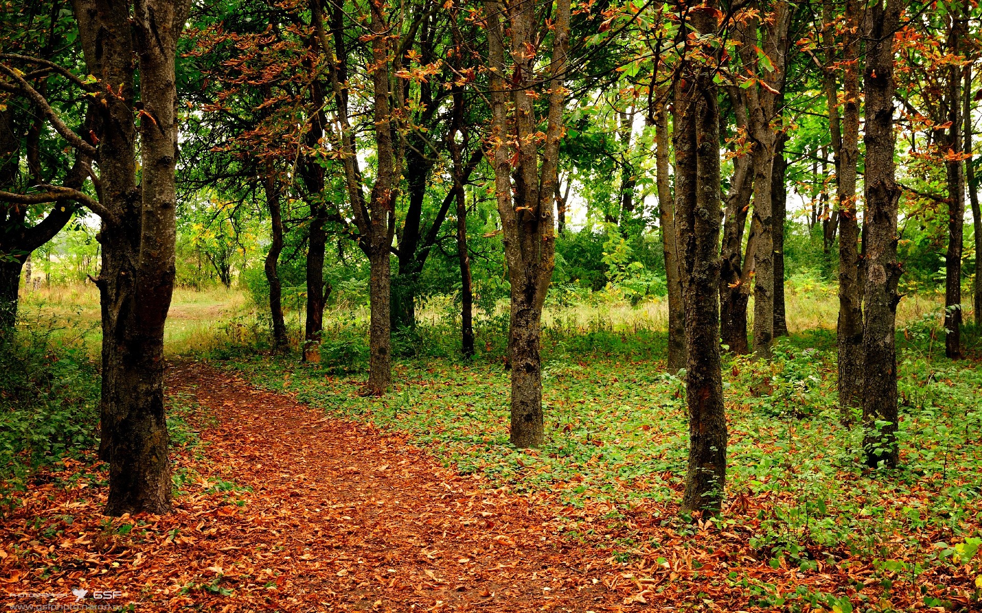 生死180秒！末节魔术师觉醒，德罗赞化身关键先生带走老鹰