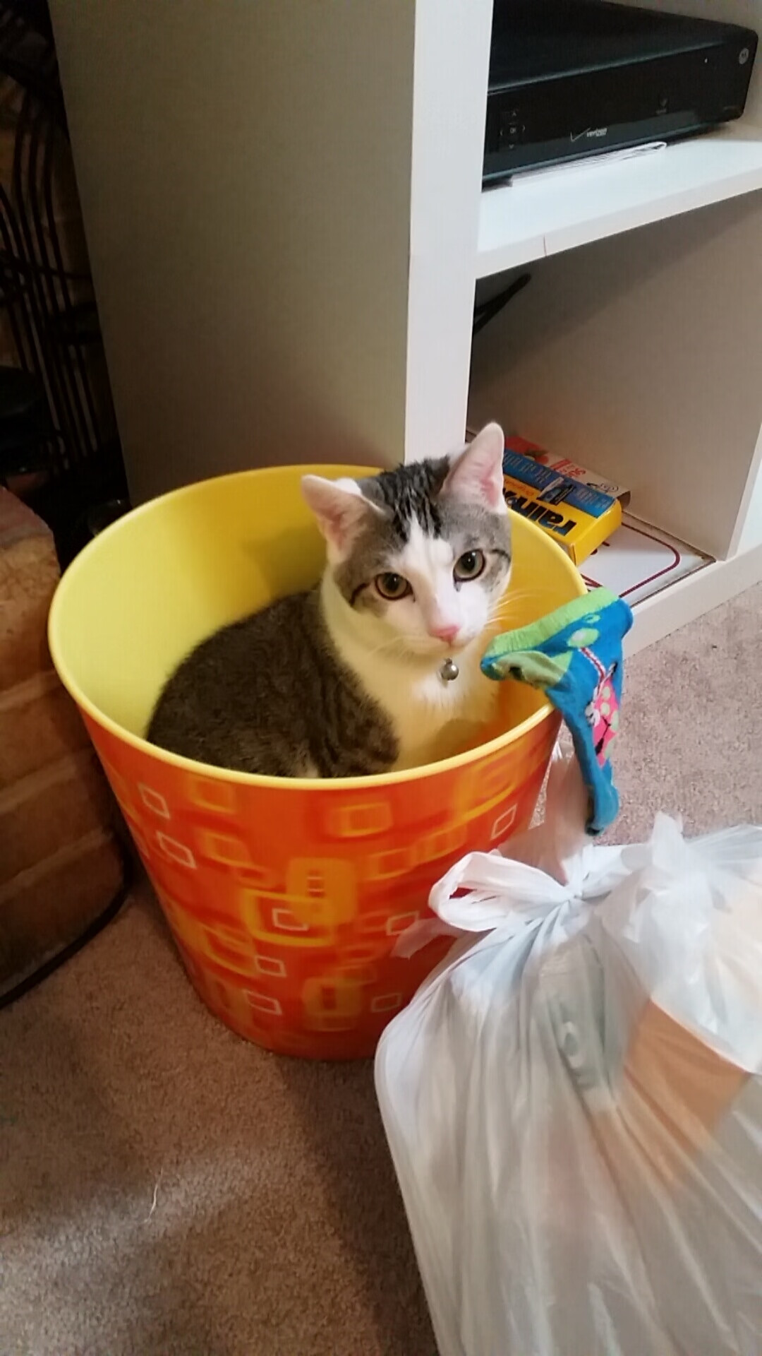 当哈利伯顿在达拉斯起舞，一场由掌控力主宰的胜利