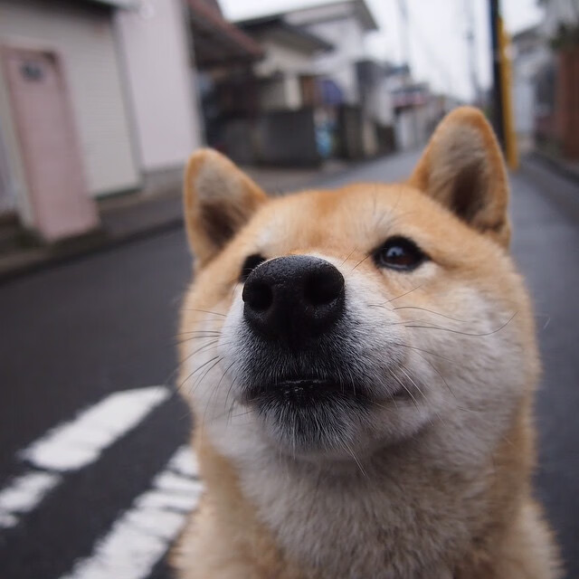 米切尔爆发与浙江铁链，破译个人钥匙与整体锁链的双重密码