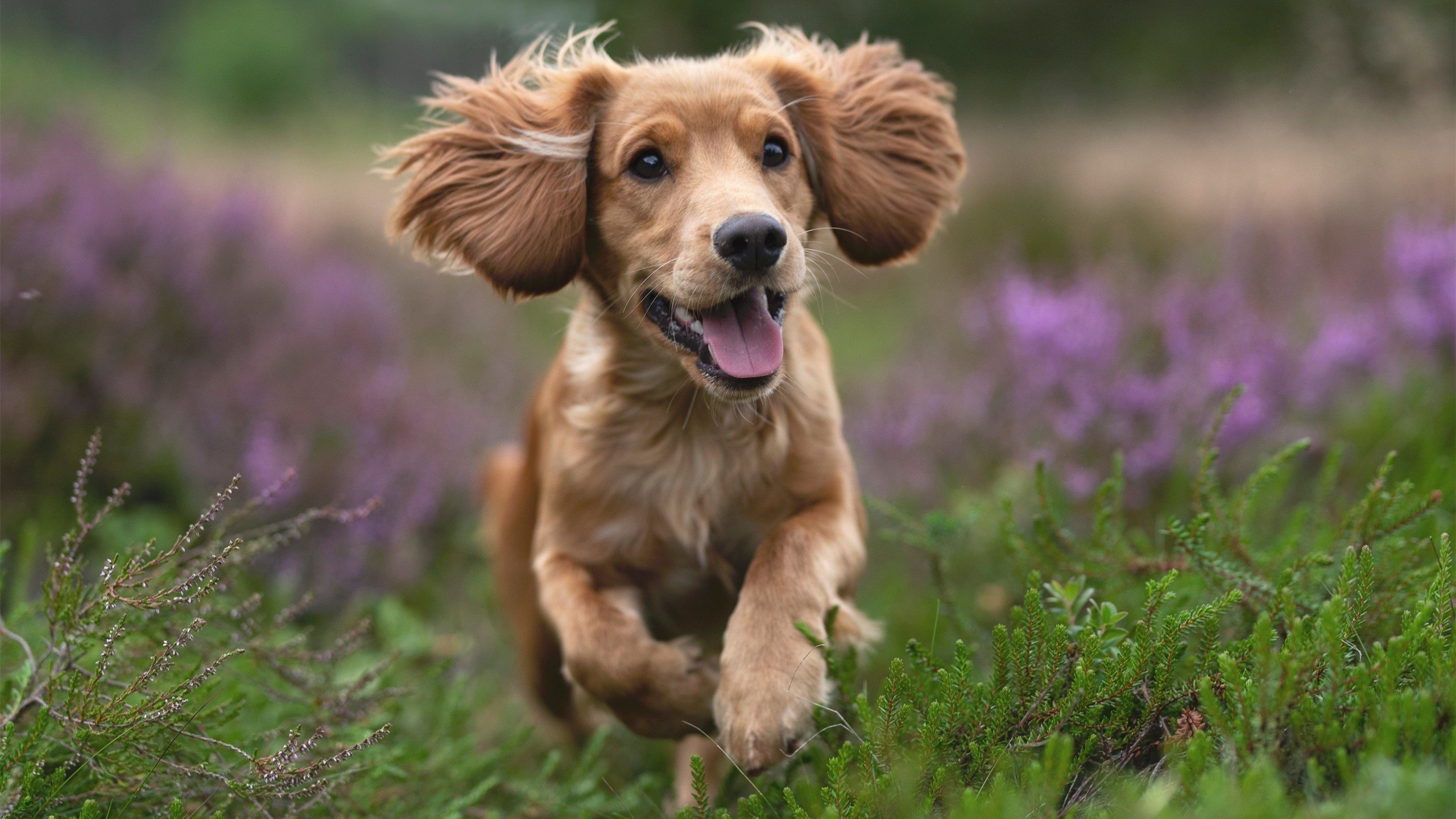 慈善赛的硝烟,当皇家社会鏖战哥伦比亚,卡塞米罗如何成为跨越阵营的关键先生