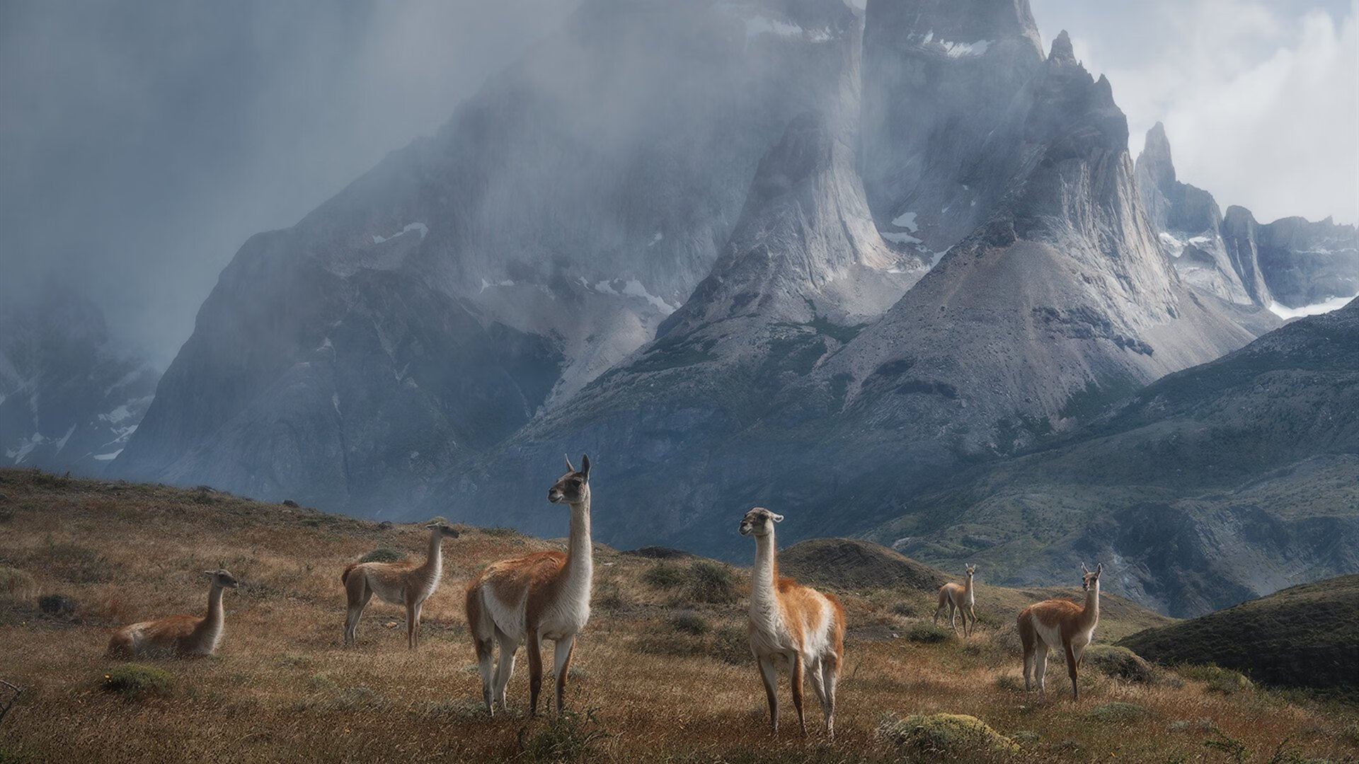 铁骑沉沙！沙特新王迪亚斯单枪匹马撕碎冰岛防线，沙海魔术师一手导演惊天逆转