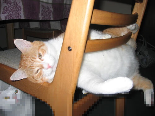 霍勒迪，马刺的手术刀，无名小卒如何成为太阳终结者？