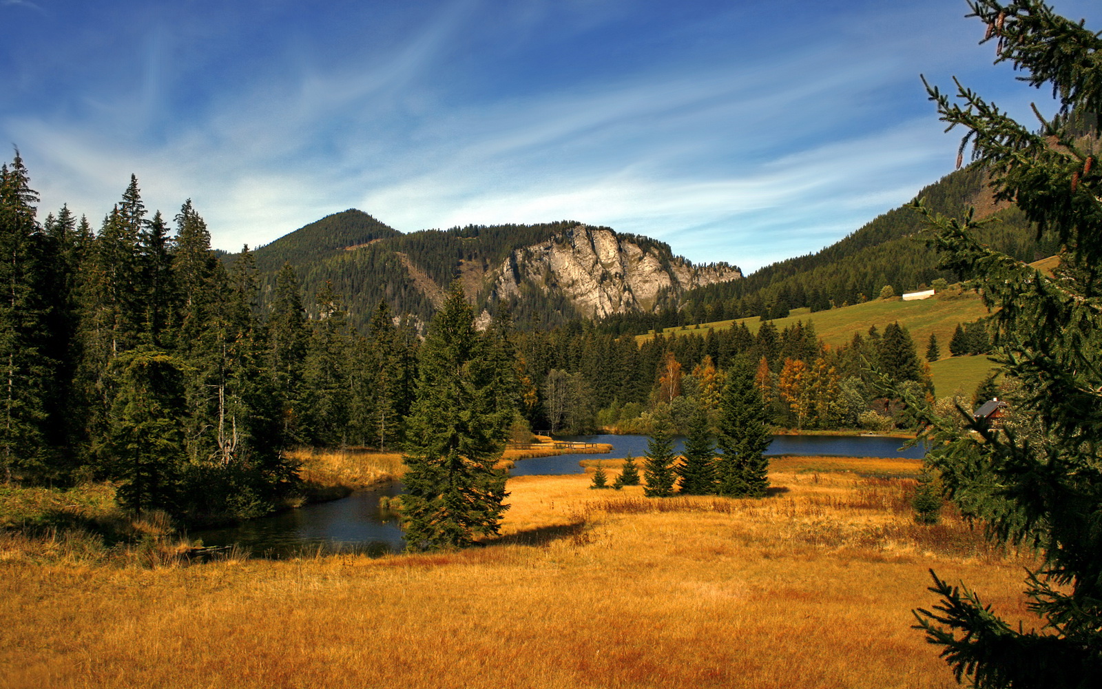 三狮血脉点亮西非之光，拉什福德关键一击助几内亚历史性击溃摩洛哥