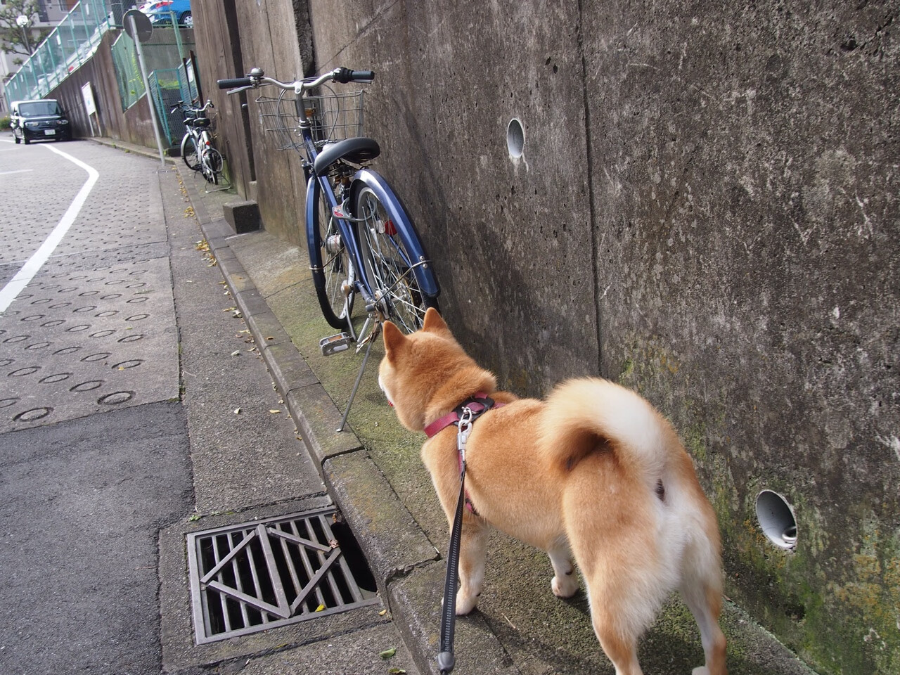 黄色潜水艇击穿桑巴防线,德布劳内一锤定音的艺术