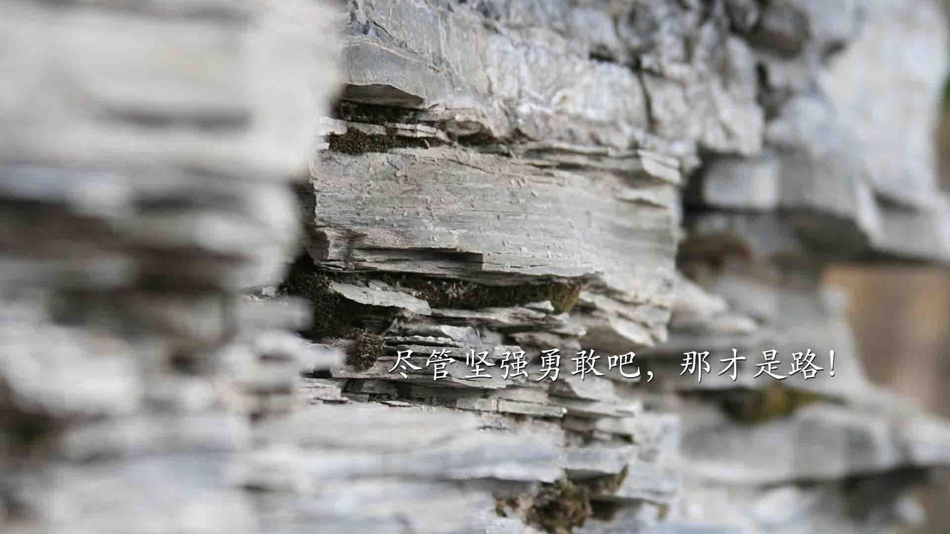 足球是圆的，但今夜为他平直落下