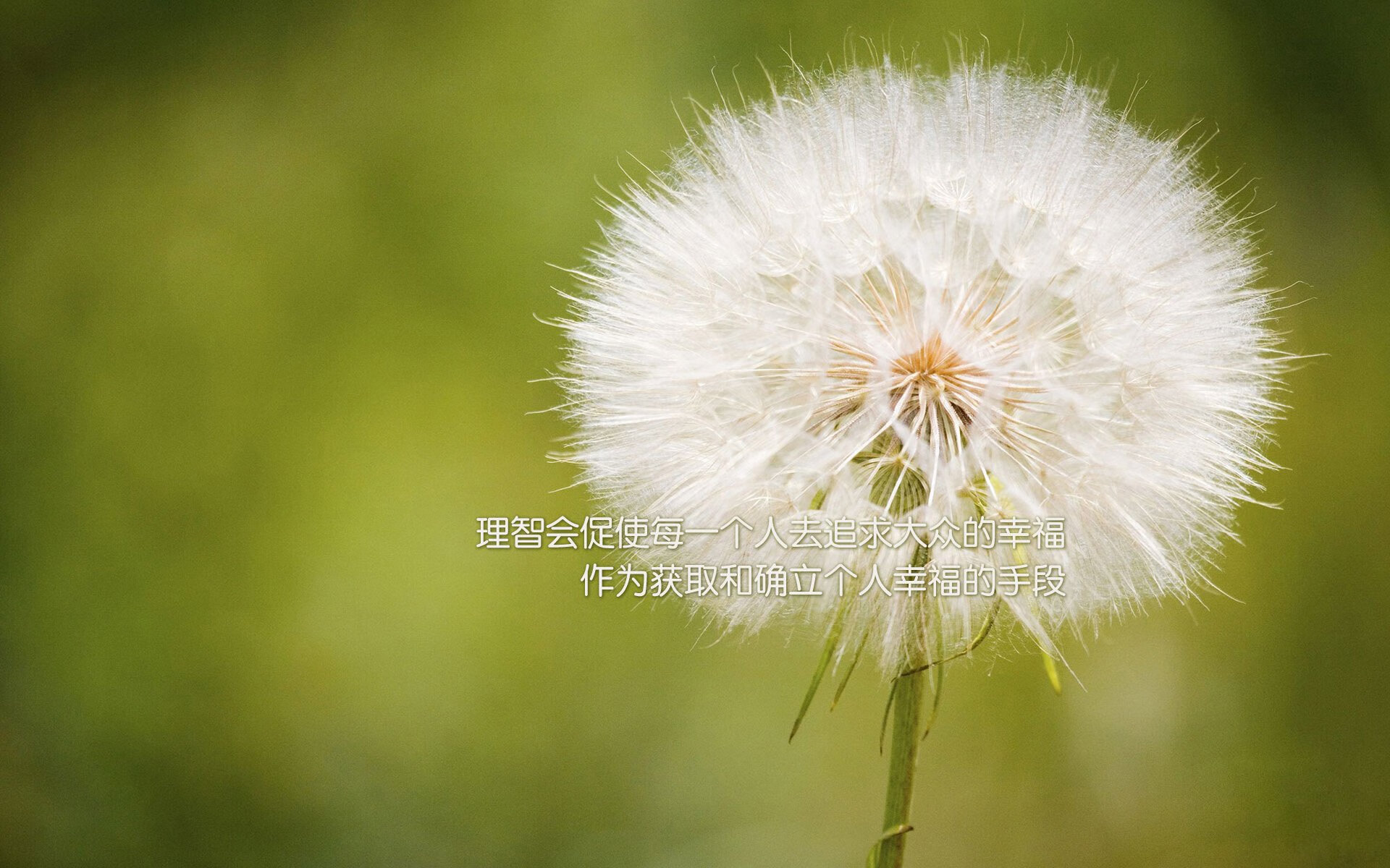 硬仗中的艺术,佛罗伦萨战术复盘,斯通斯一锤定音