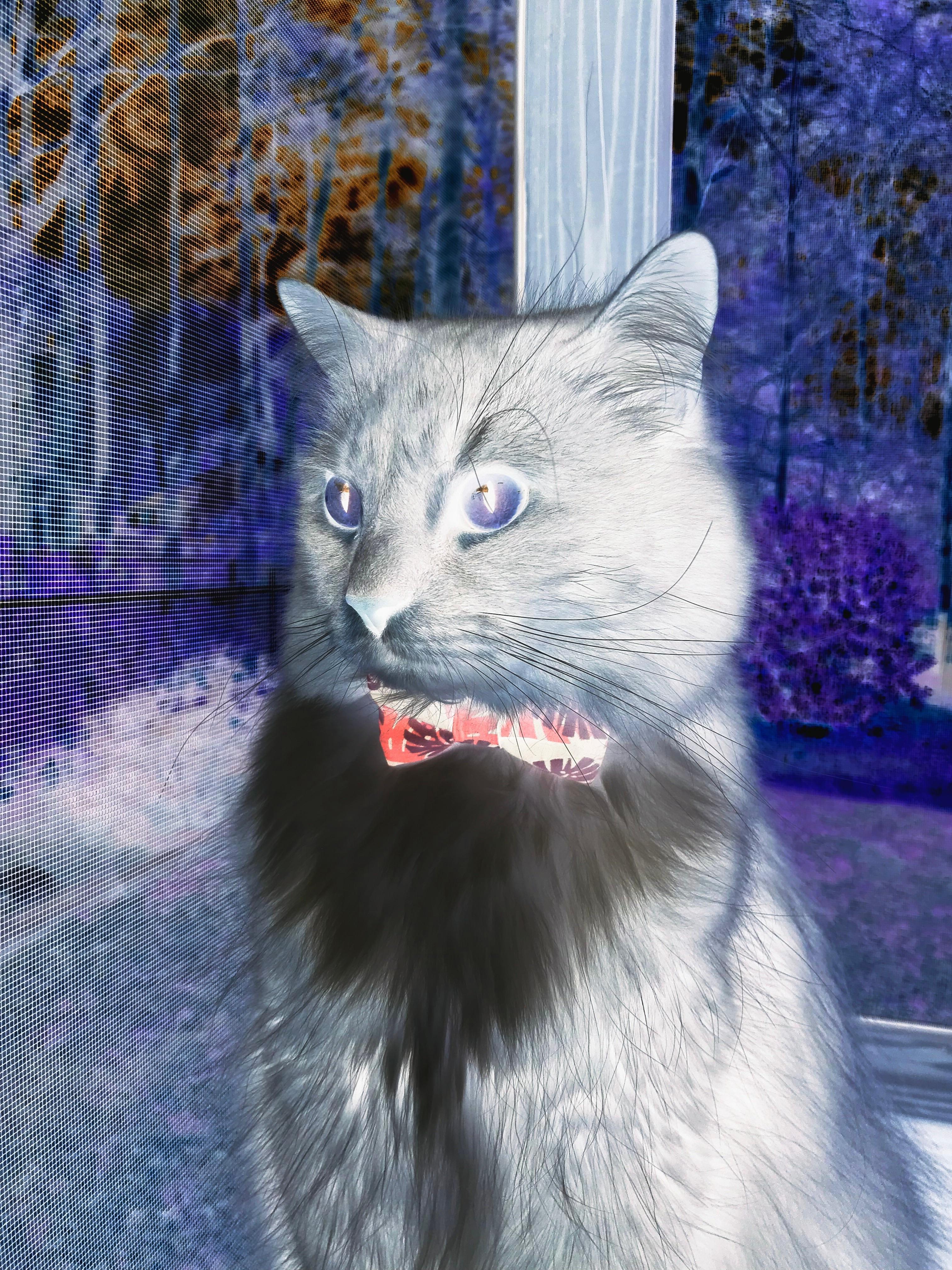 拉文终场0.7秒复刻乔丹之影，吉林队唯一悬念只剩他何时飞翔