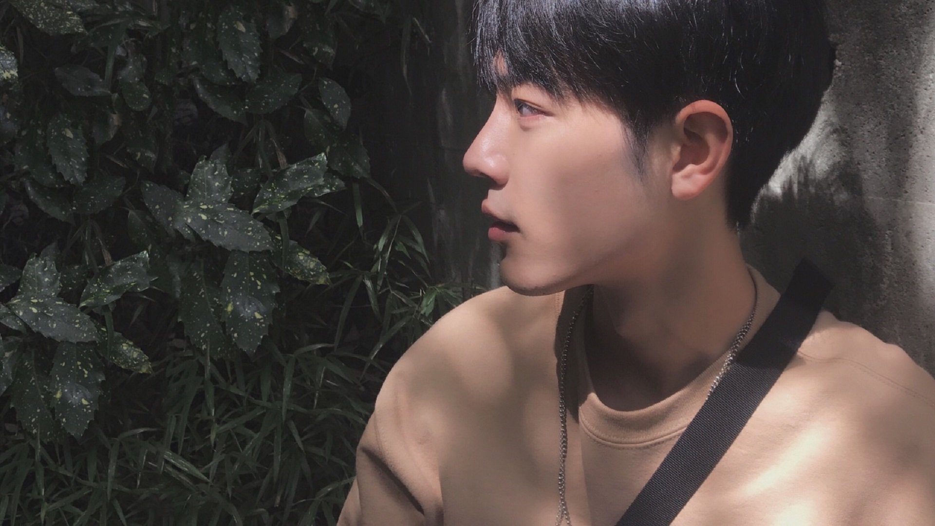 古老智慧对现代魔法，埃及如何提前终结西决悬念