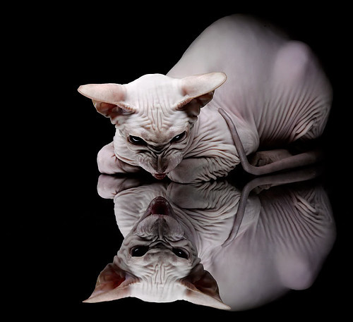 1.绿茵场外的绝杀，当欧冠决赛夜遇见莫兰特时间