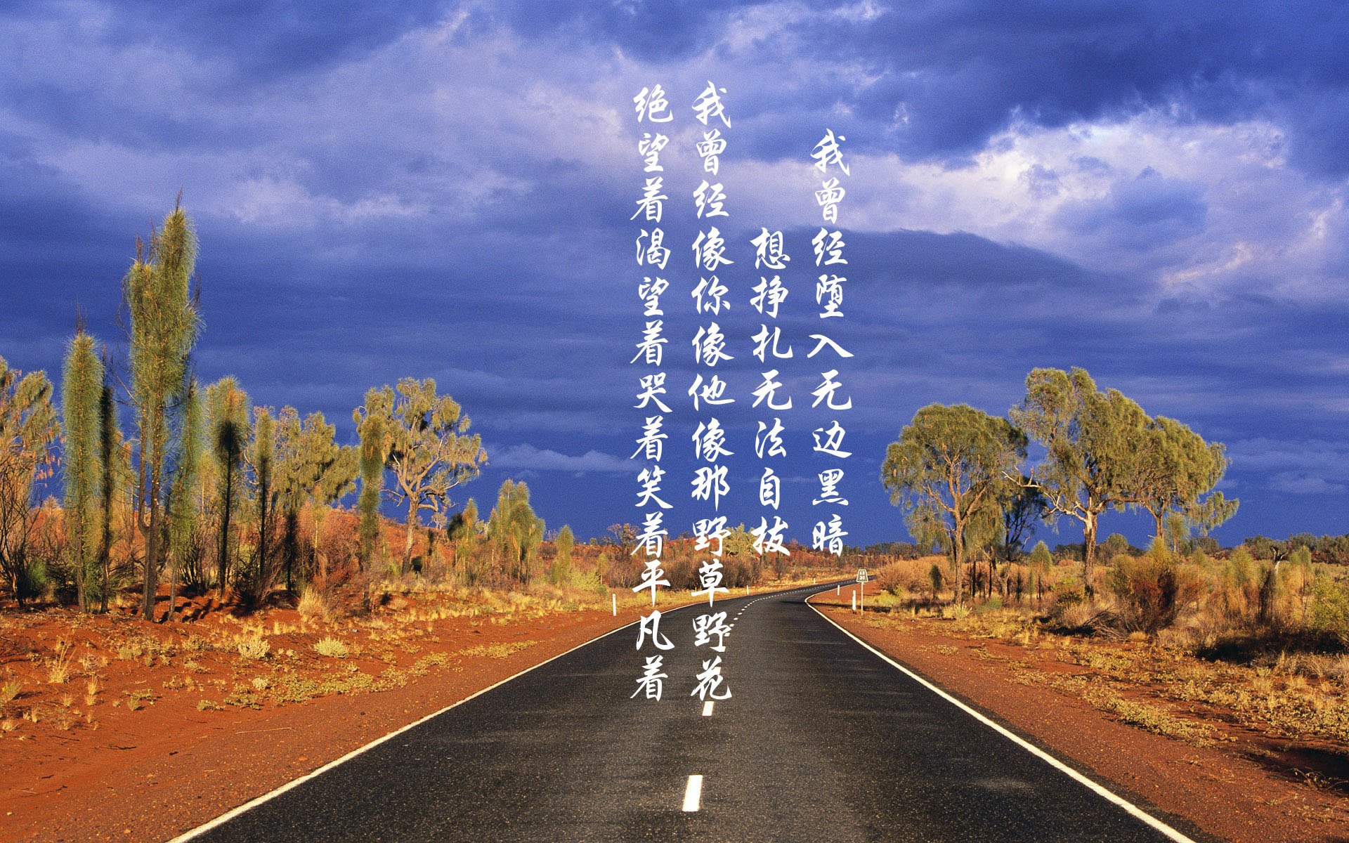 两个世界的撞击,当约基奇的工匠篮球撞上纽约的速度洪流