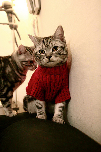 猛龙冲垮76人,文班亚马的持续杀伤宣告时代迭代