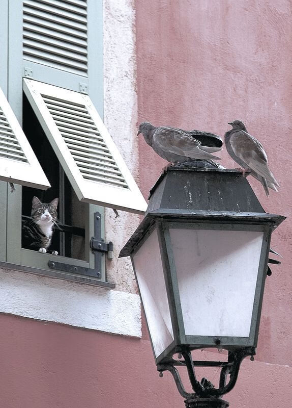 谁是班凯罗?从无人知晓到让勇士沉默的两分钟