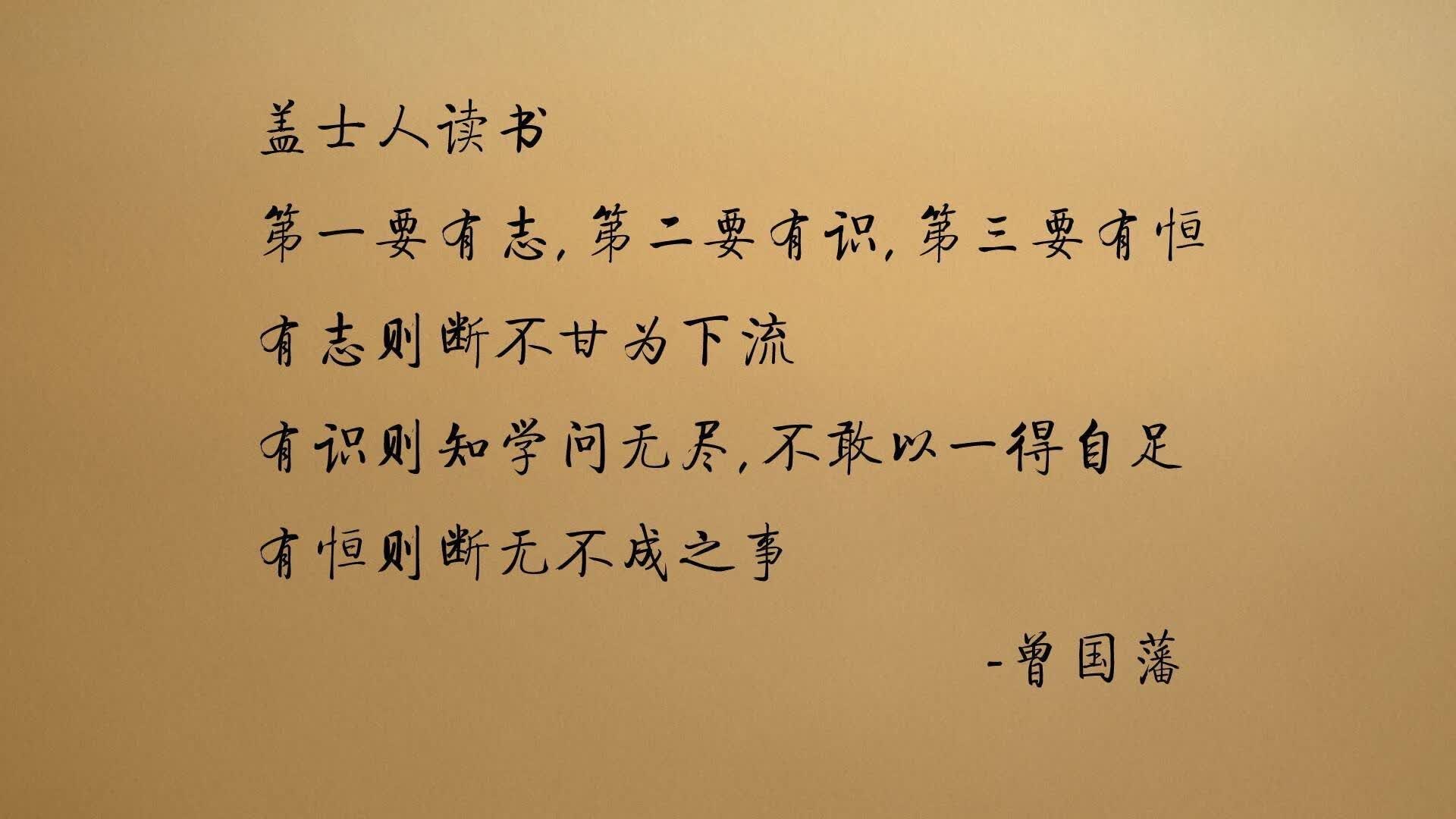 2026世界杯焦点战,厄瓜多尔完胜塞尔维亚,穆西亚拉带队书写南美荣耀